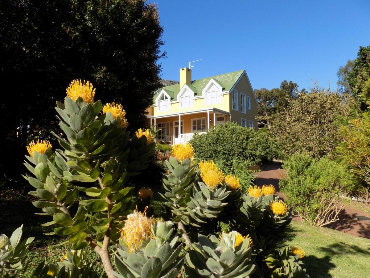 Villa La Paz Hout Bay Exterior photo
